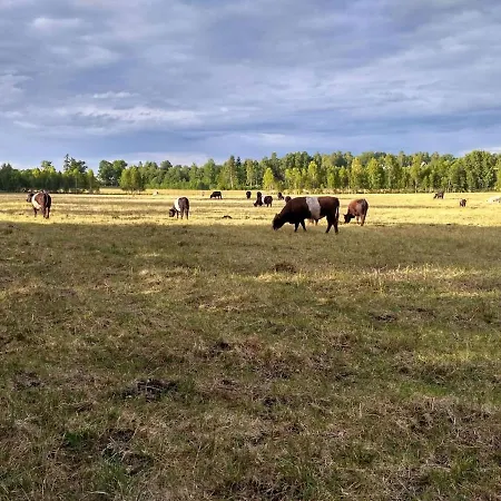 Self Check-in Sauna Next To Hiking Trails *