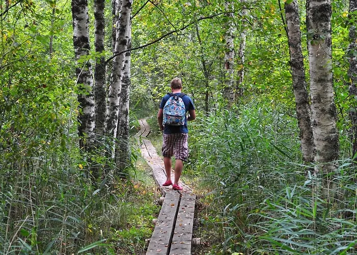 Holiday home Self Check-in Sauna Next To Hiking Trails *