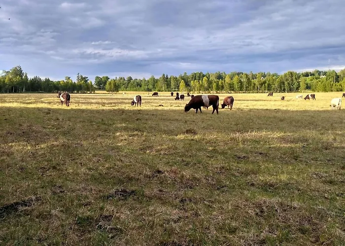 Self Check-in Sauna Next To Hiking Trails *