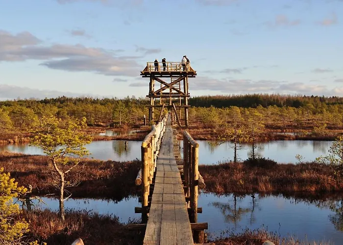Сasa de vacaciones Self Check-in Sauna Next To Hiking Trails *
