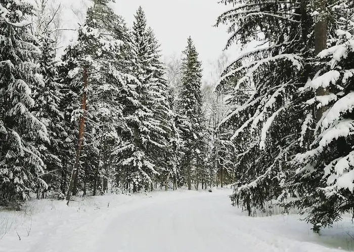 Self Check-in Sauna Next To Hiking Trails Holiday home