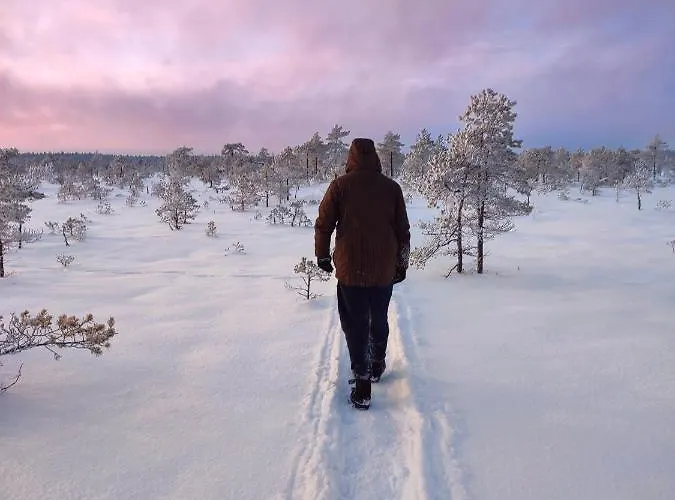 Self Check-in Sauna Next To Hiking Trails Holiday home