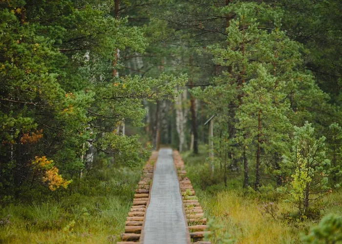 Self Check-in Sauna Next To Hiking Trails Holiday home