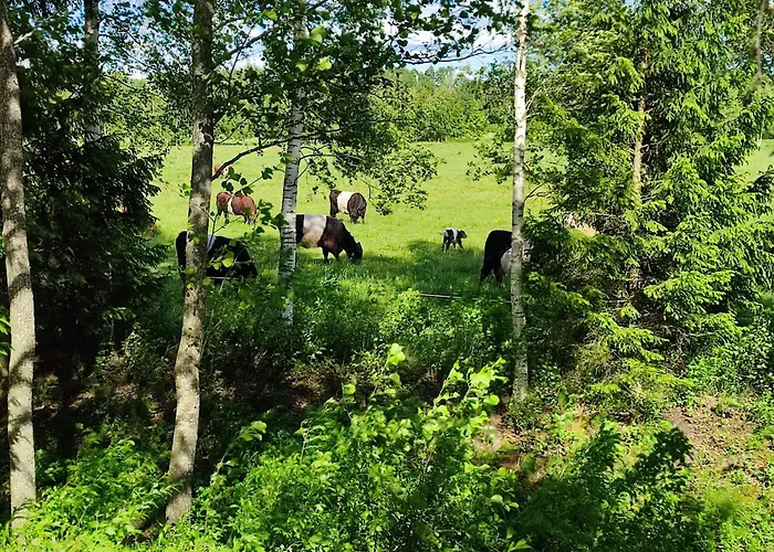 Holiday home Self Check-in Sauna Next To Hiking Trails Karde